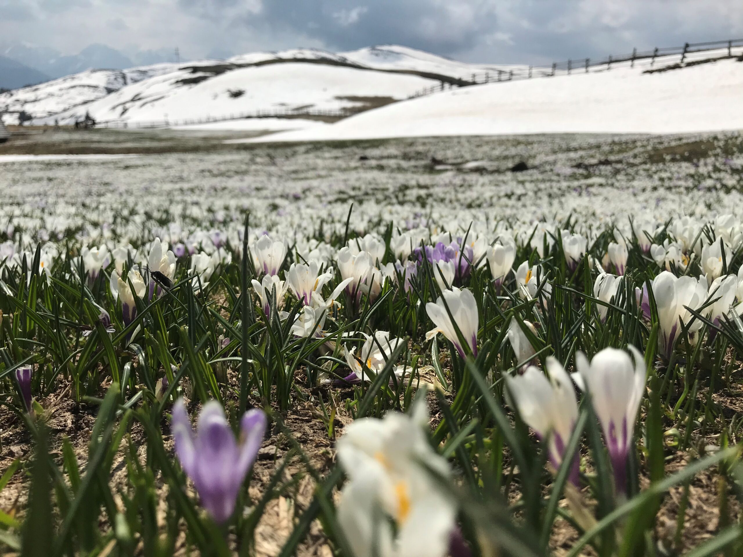 Jetzt buchen & sparen